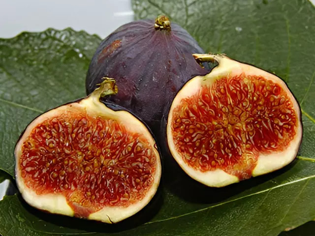 07 fig salad